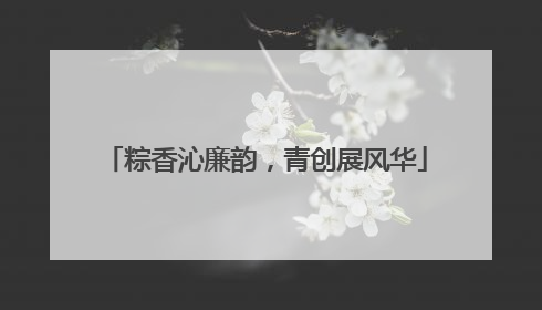 粽香沁廉韵，青创展风华