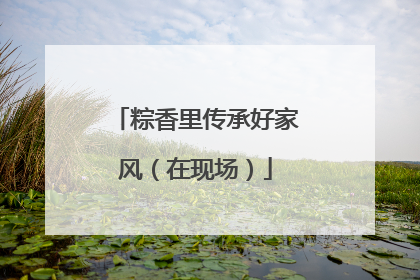 粽香里传承好家风（在现场）