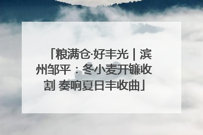 粮满仓·好丰光｜滨州邹平：冬小麦开镰收割 奏响夏日丰收曲