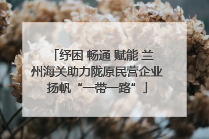 纾困 畅通 赋能 兰州海关助力陇原民营企业扬帆“一带一路”