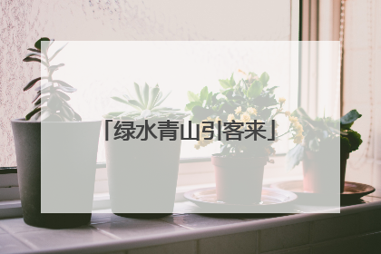 绿水青山引客来