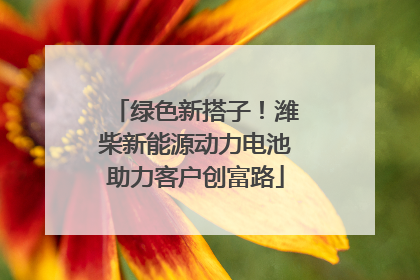 绿色新搭子！潍柴新能源动力电池助力客户创富路
