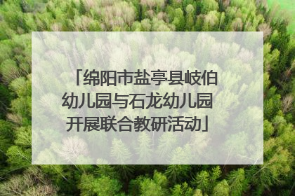 绵阳市盐亭县岐伯幼儿园与石龙幼儿园开展联合教研活动