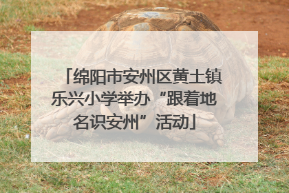 绵阳市安州区黄土镇乐兴小学举办“跟着地名识安州”活动