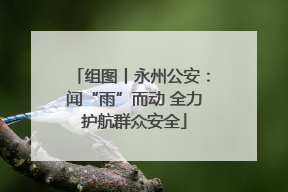 组图丨永州公安：闻“雨”而动 全力护航群众安全