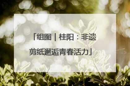 组图｜桂阳：非遗剪纸邂逅青春活力