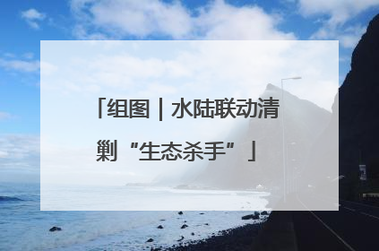 组图｜水陆联动清剿“生态杀手”