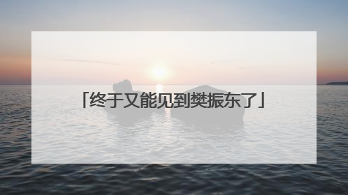 终于又能见到樊振东了