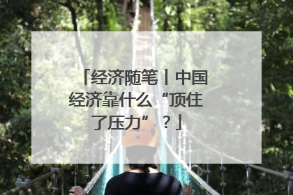 经济随笔丨中国经济靠什么“顶住了压力”？