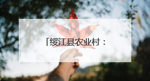 绥江县农业村：女子调解队真情搭起“连心桥”