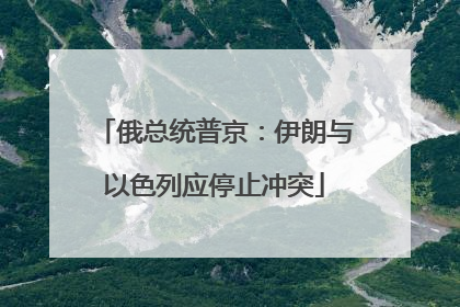 俄总统普京：伊朗与以色列应停止冲突