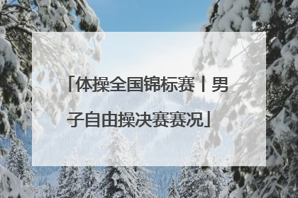 体操全国锦标赛丨男子自由操决赛赛况