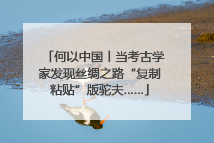 何以中国丨当考古学家发现丝绸之路“复制粘贴”版驼夫……