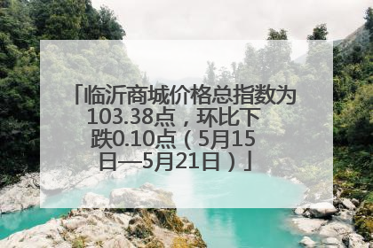 临沂商城价格总指数为103.38点，环比下跌0.10点（5月15日—5月21日）