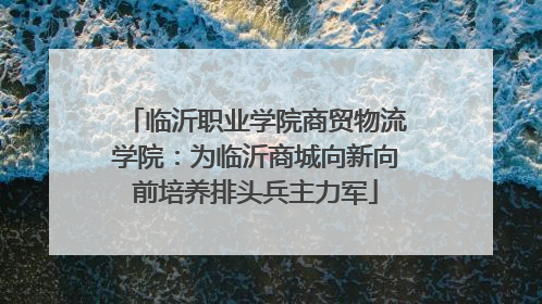 临沂职业学院商贸物流学院：为临沂商城向新向前培养排头兵主力军