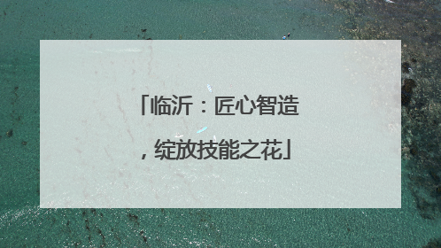 临沂：匠心智造，绽放技能之花