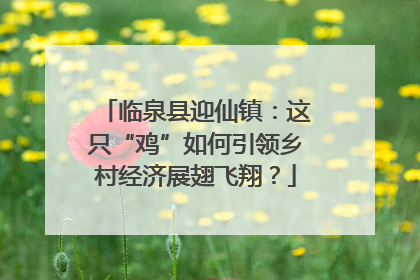 临泉县迎仙镇：这只“鸡”如何引领乡村经济展翅飞翔？