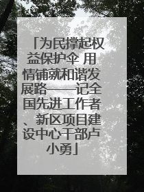 为民撑起权益保护伞 用情铺就和谐发展路——记全国先进工作者、新区项目建设中心干部卢小勇