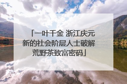 一叶千金 浙江庆元新的社会阶层人士破解荒野茶致富密码