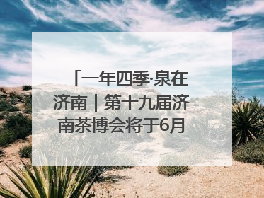 一年四季·泉在济南｜第十九届济南茶博会将于6月20日开幕