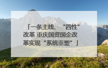 一条主线、“四性”改革 重庆国资国企改革实现“系统重塑”