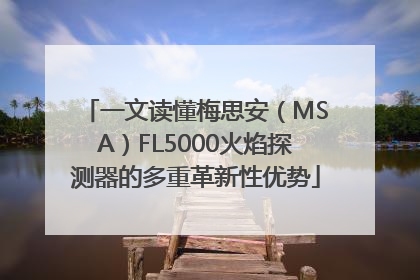 一文读懂梅思安（MSA）FL5000火焰探测器的多重革新性优势