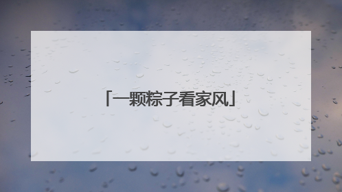 一颗粽子看家风