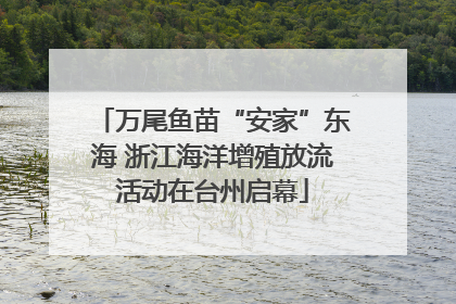 万尾鱼苗“安家”东海 浙江海洋增殖放流活动在台州启幕