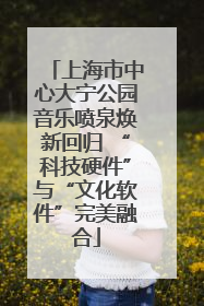上海市中心大宁公园音乐喷泉焕新回归 “科技硬件”与“文化软件”完美融合