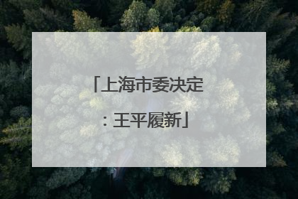 上海市委决定：王平履新