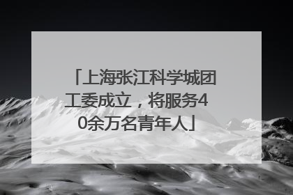 上海张江科学城团工委成立，将服务40余万名青年人