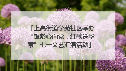 上高街道学苑社区举办“银龄心向党，红歌送华章”七一文艺汇演活动