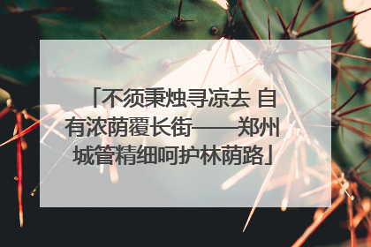 不须秉烛寻凉去 自有浓荫覆长街——郑州城管精细呵护林荫路