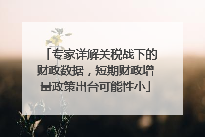 专家详解关税战下的财政数据，短期财政增量政策出台可能性小