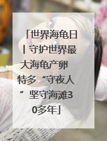 世界海龟日丨守护世界最大海龟产卵 特多“守夜人”坚守海滩30多年