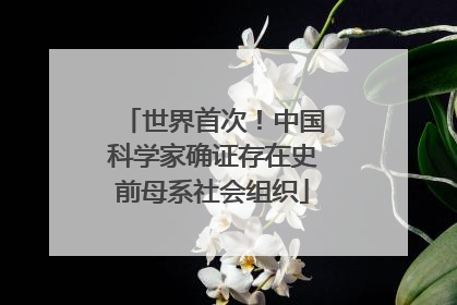 世界首次！中国科学家确证存在史前母系社会组织