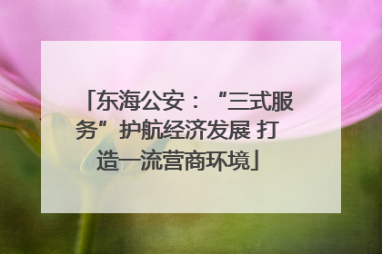 东海公安：“三式服务”护航经济发展 打造一流营商环境