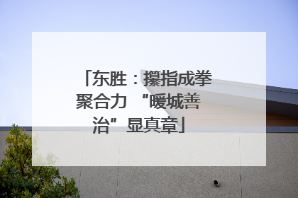 东胜：攥指成拳聚合力 “暖城善治”显真章