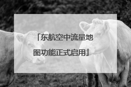 东航空中流量地图功能正式启用