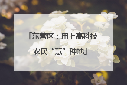 东营区：用上高科技 农民“慧”种地
