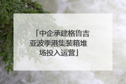 中企承建格鲁吉亚波季港集装箱堆场投入运营