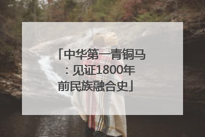 中华第一青铜马：见证1800年前民族融合史