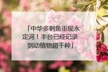 中华多刺鱼重现永定河！丰台已经记录到动植物超千种