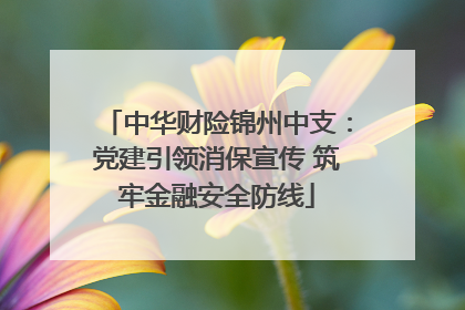 中华财险锦州中支：党建引领消保宣传 筑牢金融安全防线