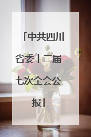 中共四川省委十二届七次全会公报