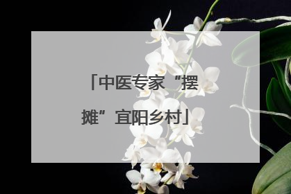 中医专家“摆摊”宜阳乡村