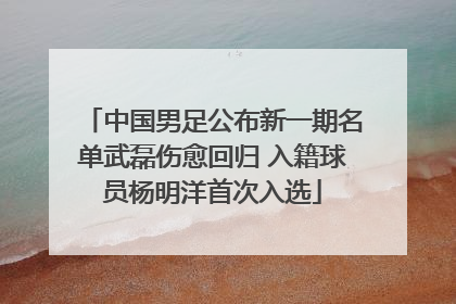 中国男足公布新一期名单武磊伤愈回归 入籍球员杨明洋首次入选