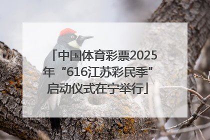 中国体育彩票2025年“616江苏彩民季”启动仪式在宁举行