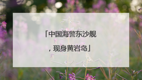 中国海警东沙舰，现身黄岩岛