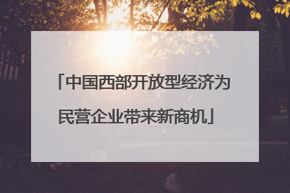 中国西部开放型经济为民营企业带来新商机